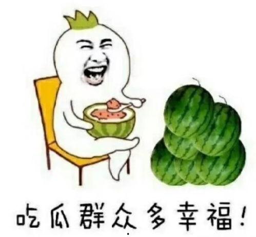娱乐圈吃瓜哪里好